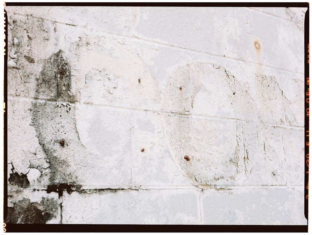 Mold Remediation service in Minnetonka, MN